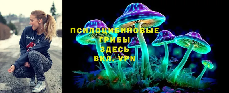 Галлюциногенные грибы Magic Shrooms  купить наркотик  Каспийск 