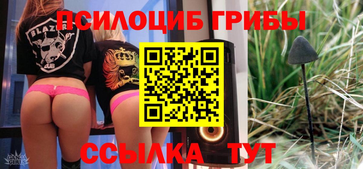 Галлюциногенные грибы MAGIC MUSHROOMS Каспийск