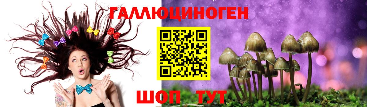 что такое наркотик  Вход с VPN  Каспийск  Псилоцибиновые грибы мицелий 