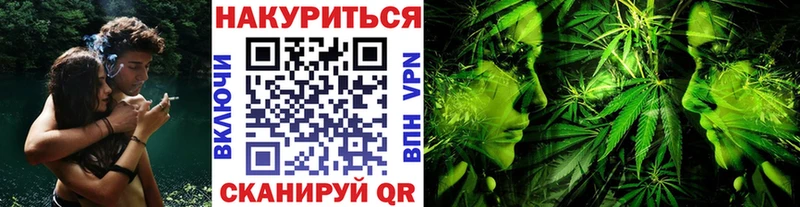 как найти закладки  Каспийск  Конопля сатива 